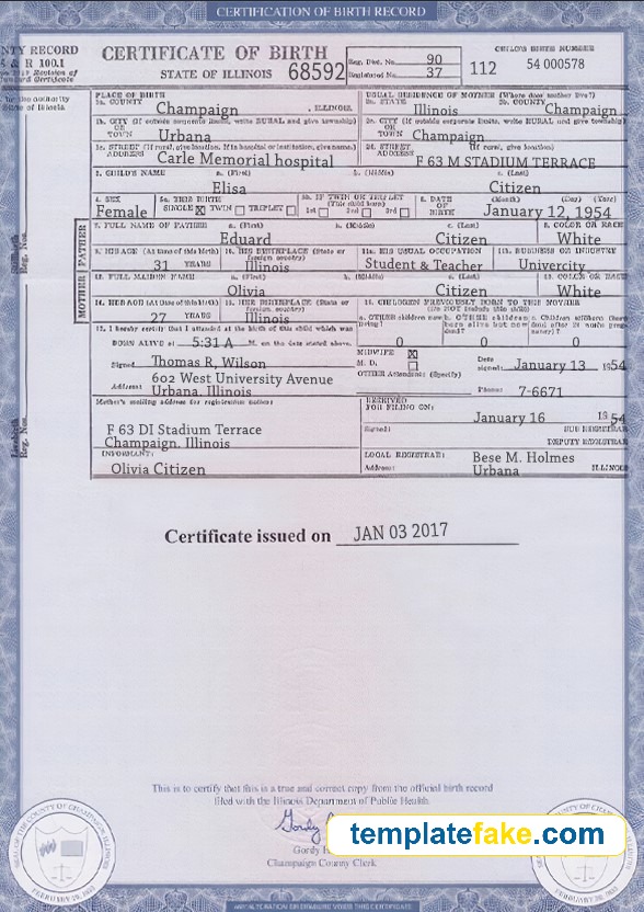 Illinois Birth Certificate Template PSD