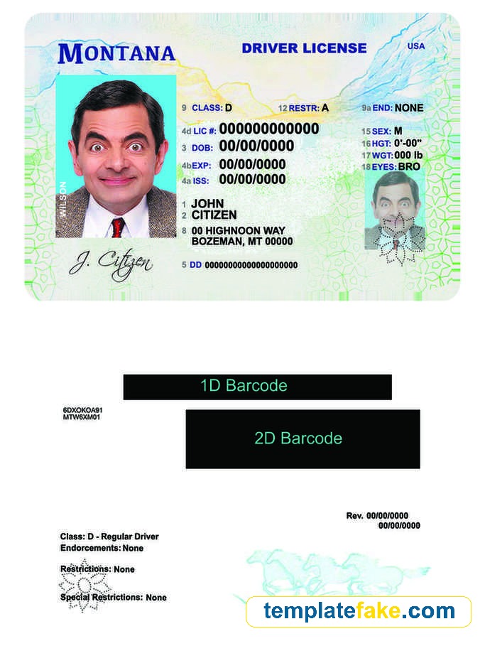 Montana Drivers License Template Front