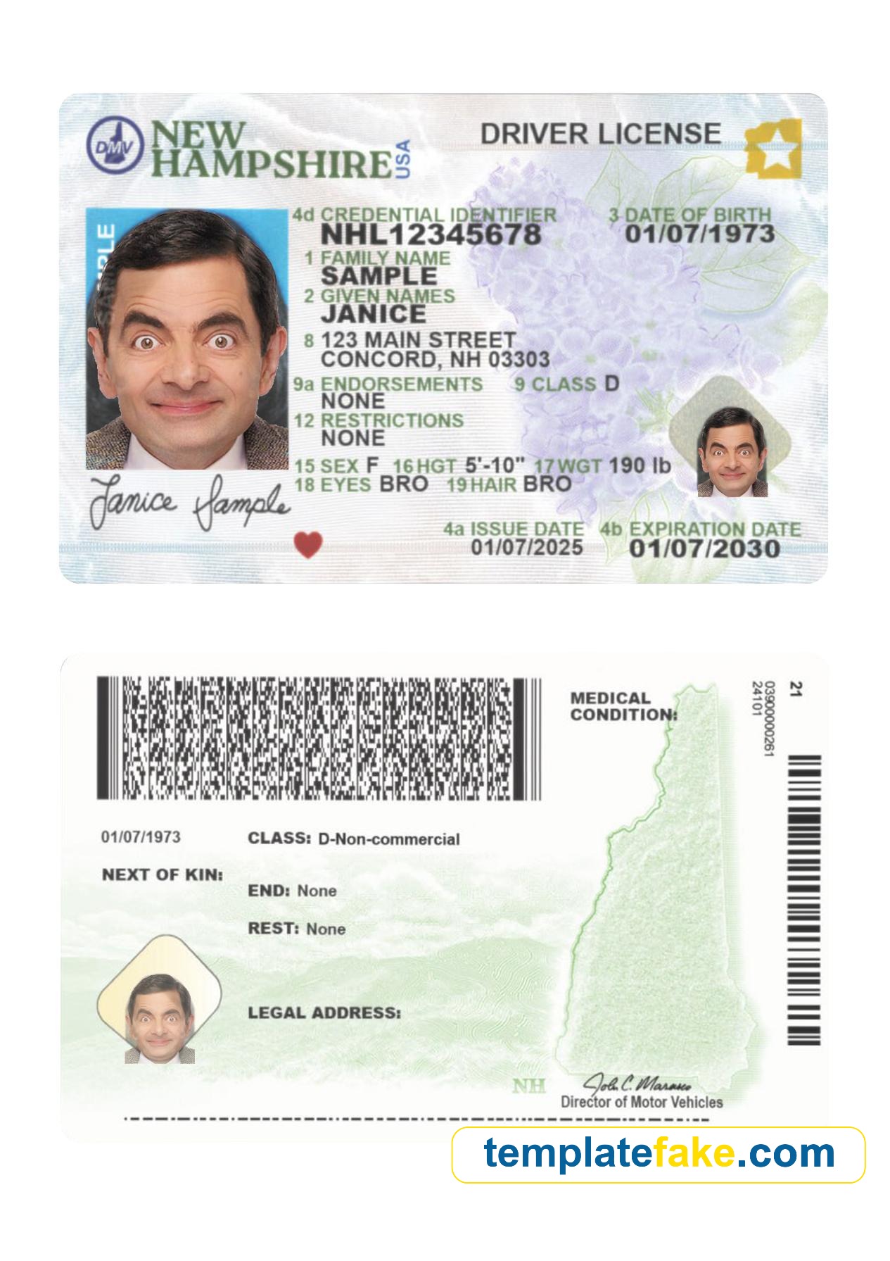 New Hampshire Driver License Template v2